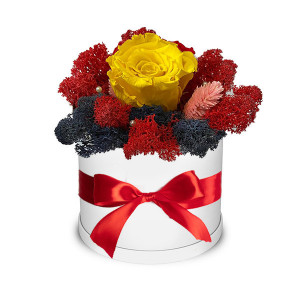 Trandafir criogenat Autum Vibes decorat in cutie alba cu licheni naturali stabilizati Galben