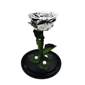 Trandafir Criogenat cu accesorii, blat negru, pe pat de petale, silverTrandafir Criogenat cu accesorii, blat negru, pe pat de petale, silver