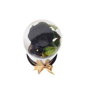 Trandafir Criogenat in cupola pe pat de petale si accesorii, negru