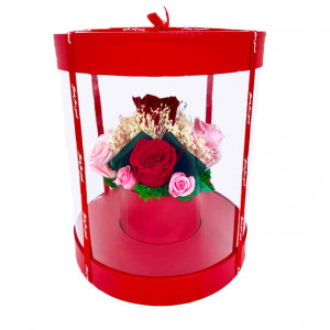Aranjament floral in cutie cilindrica transparenta, cu 11 trandafiri criogenati pe pat de licheni stabilizati, rosu