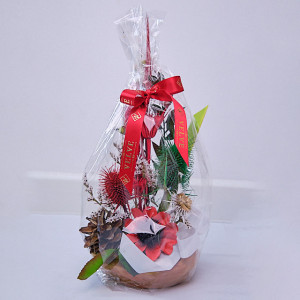 Aranjament floral in ghiveci, din flori uscate, rosu, 27cm
