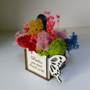 Aranjament floral Whiff, in cutie de lemn, cu personalizare serigrafica, licheni stabilizati si plante uscate, Sora/Roz2