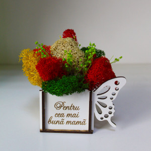 Aranjament floral Whiff, in cutie de lemn, cu personalizare serigrafica, licheni stabilizati si plante uscate, Mama/Verde1