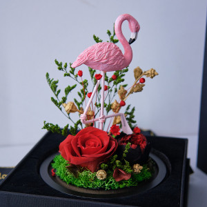 Aranjament cu flori criogenate si Flamingo, in cupola de sticla si cutie cadou