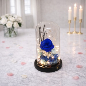 Buchet de trandafiri criogenati in cupola de sticla cu LED, albastru