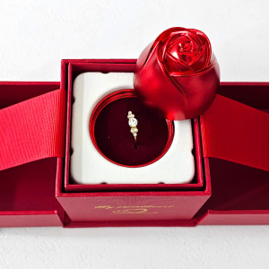 Cutie metalica eleganta Liftable Rose, in forma de trandafir, cu suport deosebit pentru ambalare accesorii de tip cadou, Rosu 4