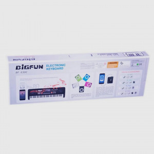 Orga Electronica cu Microfon, Echipata cu 61 de clape, pentru copii - Img 2