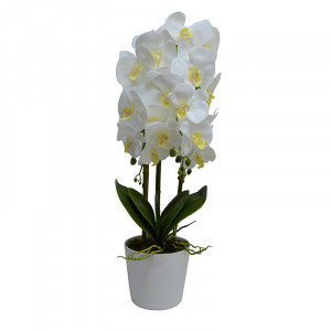 Orhidee cu aspect natural in ghiveci ceramic alb, 60 cm - Img 6