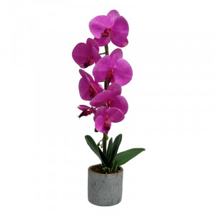 Orhidee cu aspect natural in ghiveci ceramic gri, 50 cm Fucsia