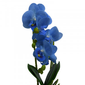 Orhidee cu aspect natural in ghiveci ceramic patrat alb, 35 cm Albastru