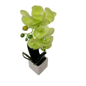 Orhidee cu aspect natural in ghiveci ceramic patrat alb, verde, 35 cm