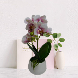 Orhidee cu aspect natural in ghiveci ceramic rotund alb, 35 cm - Img 4
