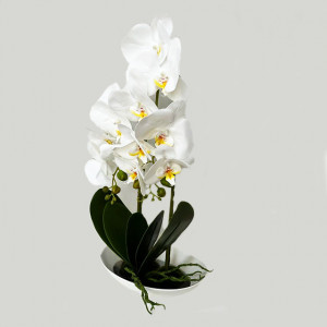 Orhideea aritificiala cu aspect natural in ghiveci ceramic, stil barcuta, alb