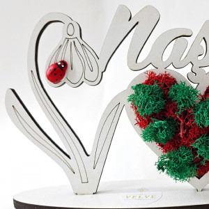 Ornament din lemn Draw Me, ce poate fi personalizat cromatic, cu tematica individuala (Nasa), cu buburuza rosie, licheni stabilizati si imortele, Verde detaliu
