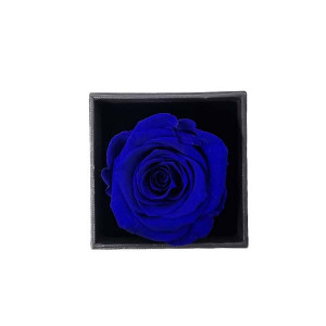 Pachet Bleuhold pentru femei, trandafir criogenta in cutiuta cu sertar, ulei pentru corp, crema pentru picioare si crema pentru par 
