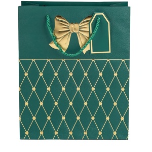 Set 10 pungi pentru cadou, cu maner rezistent, verde cu funda aurie, 12x7x15 cm
