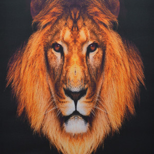 Tablou LED canvas Lion cu leduri lumini 85 x 64 cm - Img 2