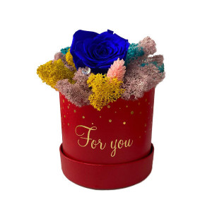 Trandafir criogenat Amour Rouge decorat in cutie cu licheni naturali stabilizati Albastru