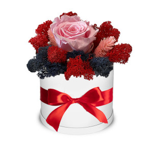 Trandafir criogenat Autum Vibes decorat in cutie alba cu licheni naturali stabilizati Roz