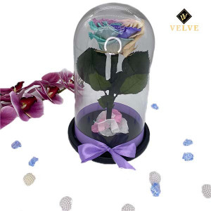Trandafir Criogenat cu accesorii, blat negru, pe pat de petale, albastru-roz-galben - Img 5