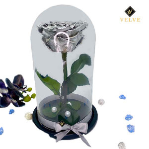 Trandafir Criogenat cu accesorii, blat negru, pe pat de petale, silver