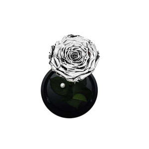 Trandafir Criogenat cu accesorii, blat negru, pe pat de petale, silverTrandafir Criogenat cu accesorii, blat negru, pe pat de petale, silver