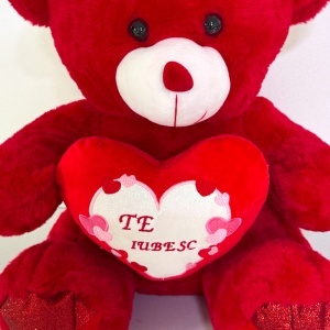Ursulet de plus Candy cu inimioara imprimata cu textul "Te iubesc", Inaltime 25 cm, Rosu-Alb - Img 3