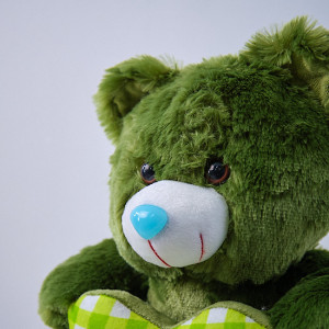Ursulet de plus Coco, cu inimioara, inaltime 30cm, Verde