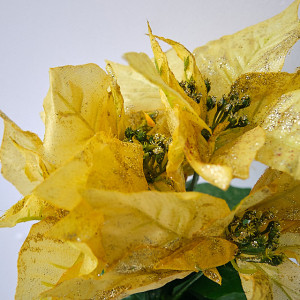 Aranjament floral cu Craciunita artificiala in giveci de plastic, Auriu 29cm