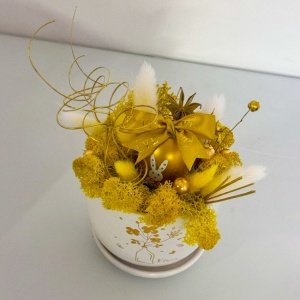  licheni stabilizati, lagurus,