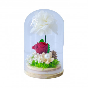 Aranjament floral in cupola de sticla cu trandafir si hortensie criogenate, Rosu, 8 x 13 cm 1