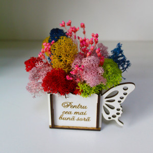 Aranjament floral Whiff, in cutie de lemn, cu personalizare serigrafica, licheni stabilizati si plante uscate, Sora/Roz1