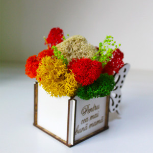 Aranjament floral Whiff "Pentru cea mai buna mama ", licheni stabilizati si plante uscate, in cutie de lemn - Img 4