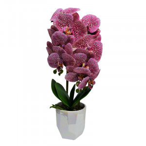 Orhidee cu aspect natural in ghiveci ceramic alb, 50 cm - Img 2