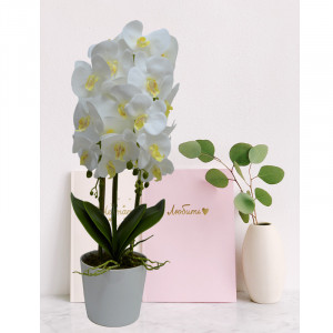 Orhidee cu aspect natural in ghiveci ceramic alb, 60 cm Alb