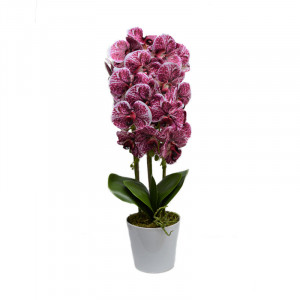 Orhidee cu aspect natural in ghiveci ceramic alb, 60 cm - Img 7