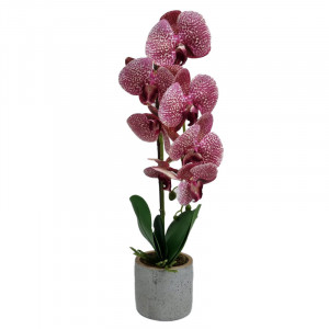 Orhidee cu aspect natural in ghiveci ceramic gri, 50 cm Alb-fucsia