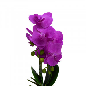 Orhidee cu aspect natural in ghiveci ceramic patrat alb, 35 cm Fucsia