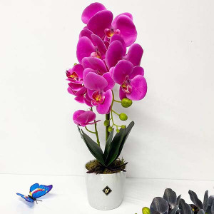 Orhidee fucsia cu aspect natural in ghiveci ceramic alb, 50 cm