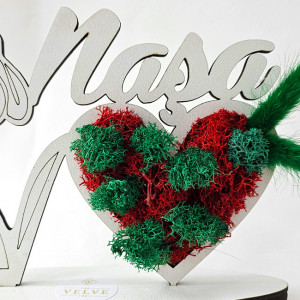 Ornament din lemn Draw Me, ce poate fi personalizat cromatic, cu tematica individuala (Nasa), cu buburuza rosie, licheni stabilizati si imortele, Verde 6