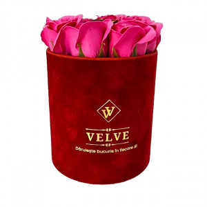 Pachet Velvet, cu 9 trandafiri de sapun, in cutie rosie de catifea, suport bijuterii in forma de silueta si pantof 1