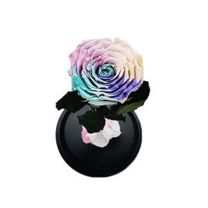 Trandafir Criogenat cu accesorii, blat negru, pe pat de petale, albastru-roz-galben - Img 6