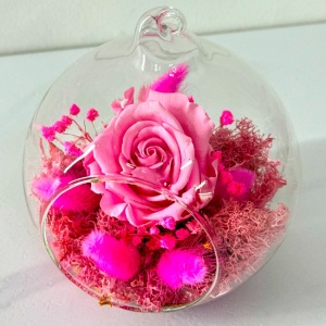 Glamouroses,