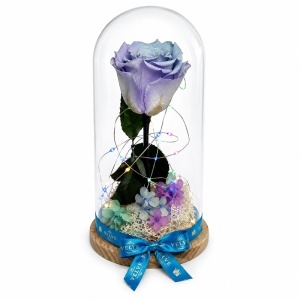 Trandafir criogenat premium XL in cupola de sticla, gradient Albastru-Mov si sclipici, inaltime 25 cm, LED multicolor inclus