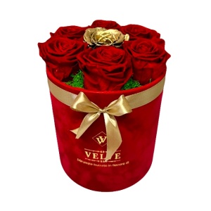 Aranjament floral cu 7 trandafiri criogenati, pe pat de licheni verzi, in cutie rotunda de catifea, rosu-gold