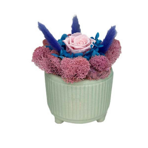 Aranjament floral cu trandafir criogenat pe pat de licheni, in bol ceramic, verde-roz