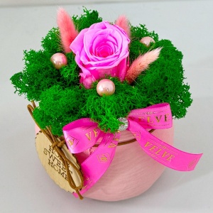 Aranjament floral Home, in vas rotund cu licheni, lagurus si trandafir stabilizati criogenati, Roz, 14 cm detaliu