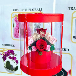 Aranjament floral in cutie cilindrica transparenta, cu 11 trandafiri criogenati pe pat de licheni stabilizati, rosu