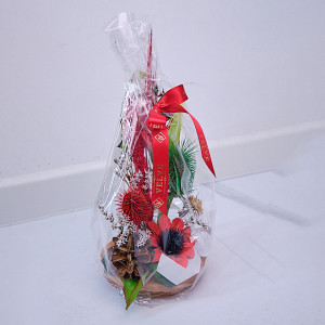Aranjament floral in ghiveci, din flori uscate, rosu, 27cm