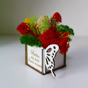 Aranjament floral Whiff, in cutie de lemn, cu personalizare serigrafica, licheni stabilizati si plante uscate, Mama/Verde2